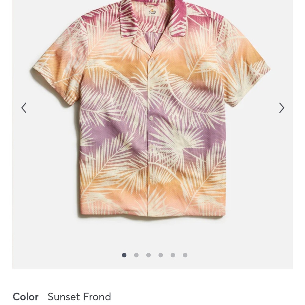 Men's Marine Layer - Sunset Frond Mesh Shirt